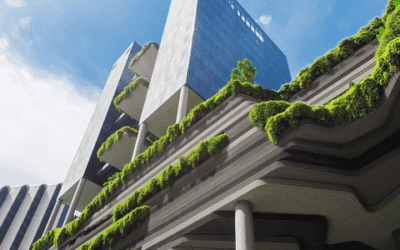 ‘Going Green’ – A Trend On The Rise For The Hospitality Industry?