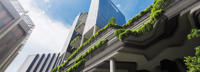 ‘Going Green’ – A Trend On The Rise For The Hospitality Industry?