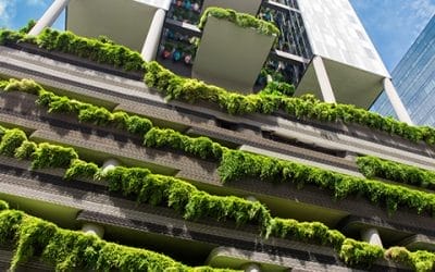 Sustainability: The conservational trend in hospitality