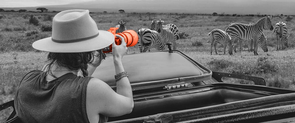 In the heart of the sprawling savannahs:Is technology viable for wilderness lodges?