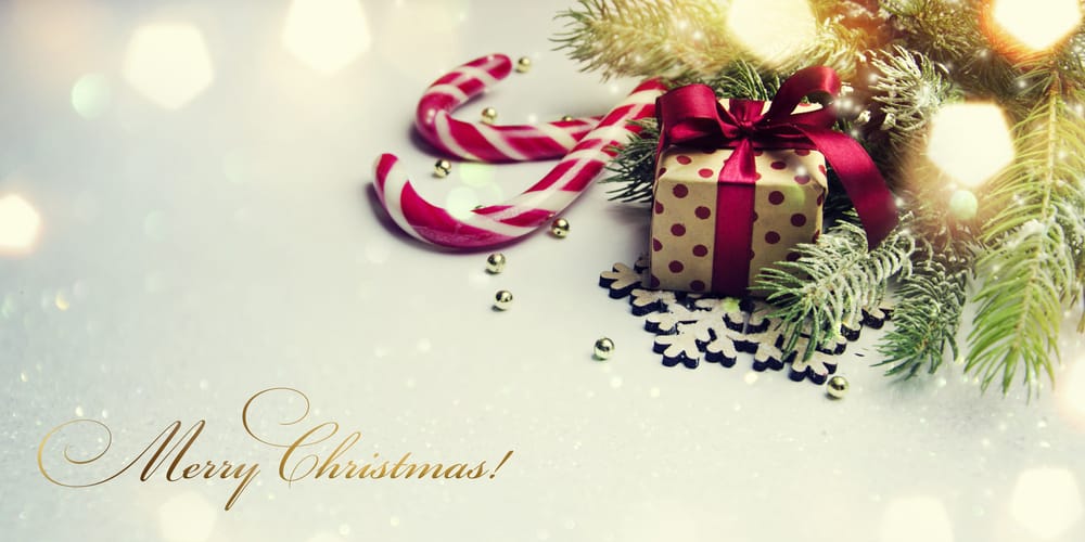 Christmas Celebration 2023